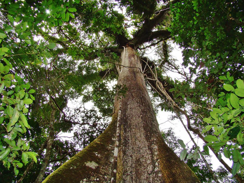 Hosteria El Paraiso De Las Orquideas Archidona ภายนอก รูปภาพ