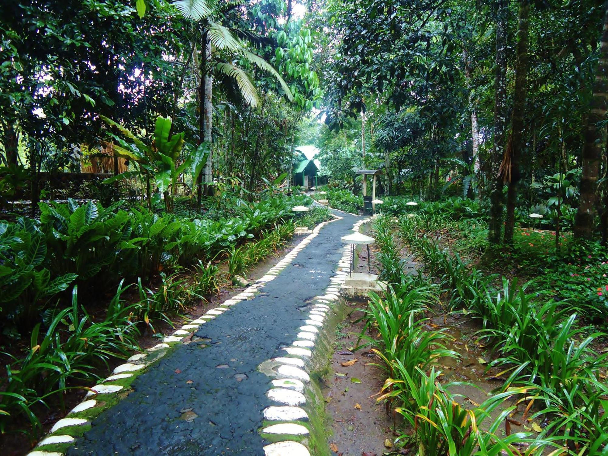 Hosteria El Paraiso De Las Orquideas Archidona ภายนอก รูปภาพ