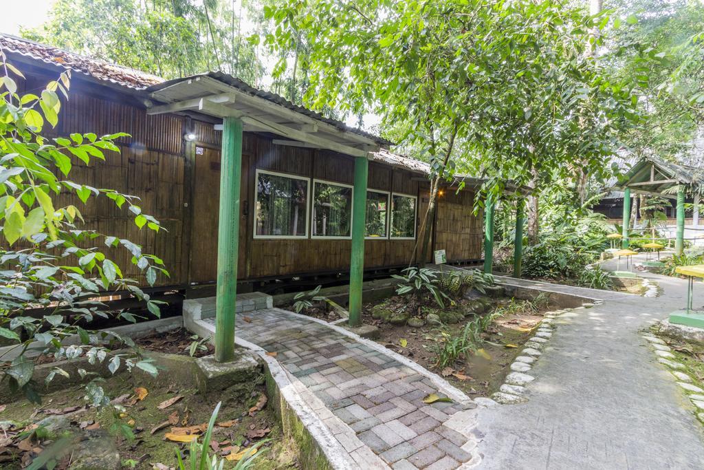Hosteria El Paraiso De Las Orquideas Archidona ภายนอก รูปภาพ