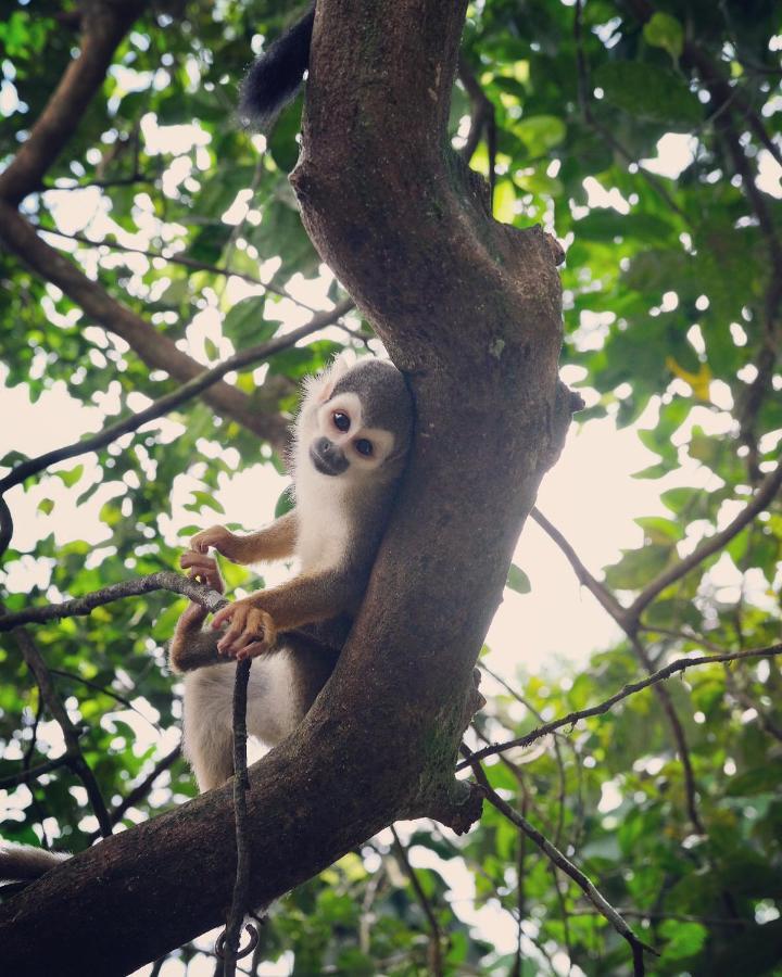 Hosteria El Paraiso De Las Orquideas Archidona ภายนอก รูปภาพ